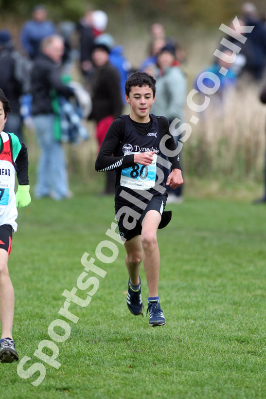 Blue 80, North East Harrier League, Sunderland